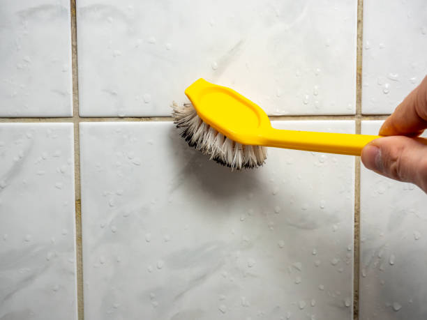 Best Professional Mold Removal  in Vine Grove, KY